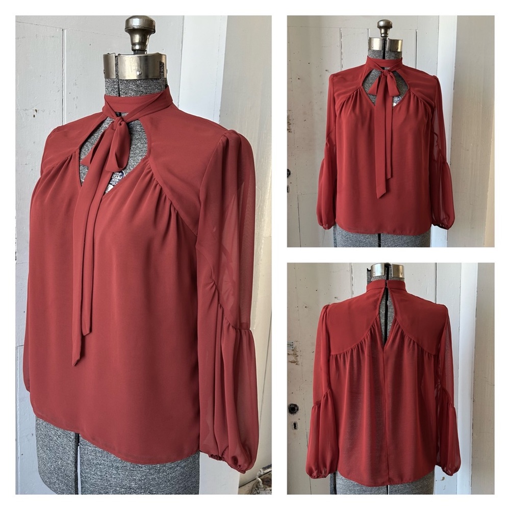 Express Rust Sheer Balloon Puff Sleeve Dress Work Shirt Blouse Top